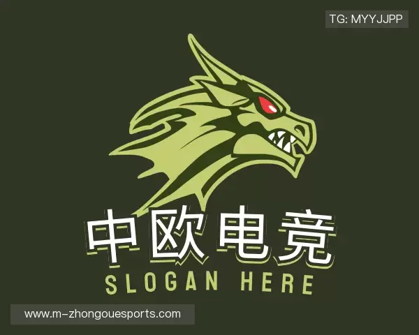 介绍中欧电竞